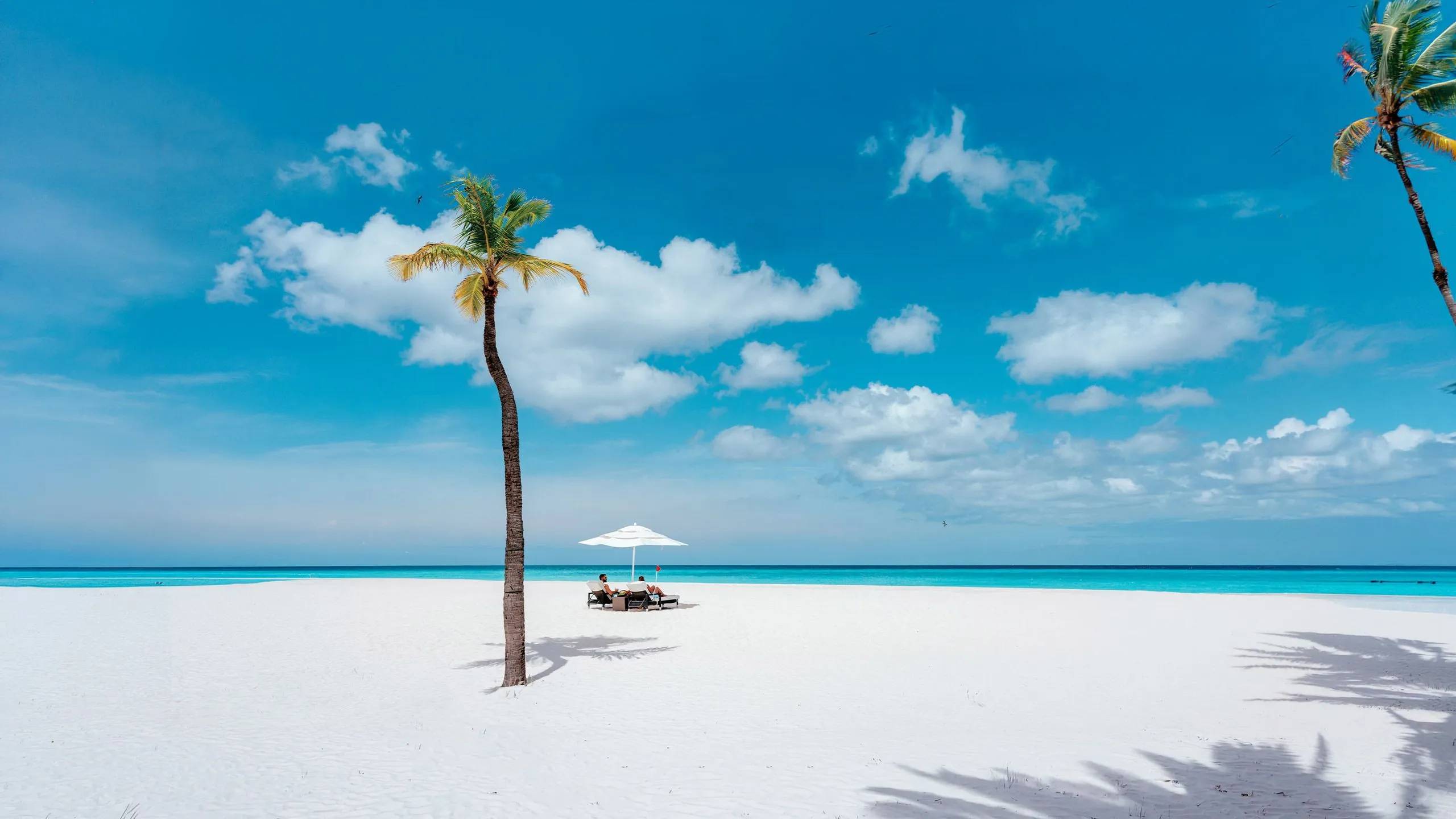 Custom vacation packages